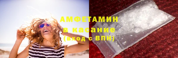 прущие грибы Куйбышев