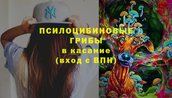 прущие грибы Куйбышев