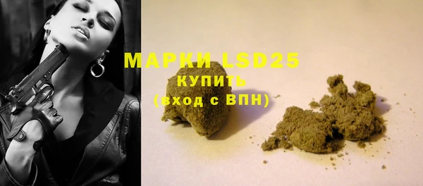 прущие грибы Куйбышев
