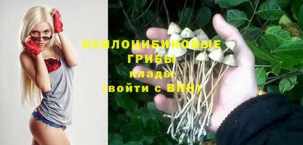 2c-b Кукмор