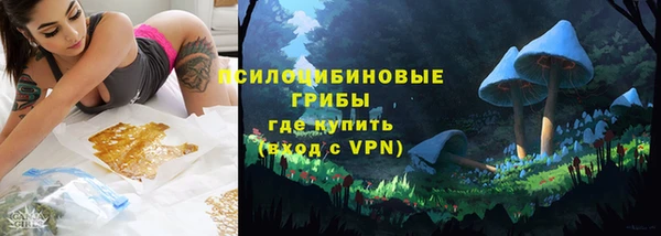 прущие грибы Куйбышев